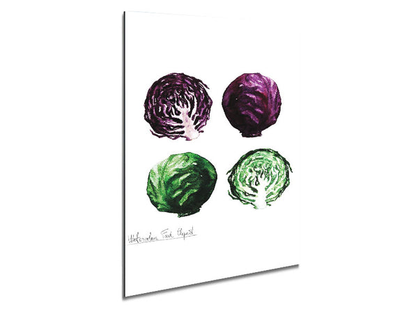 Red And Green Cabbage Metal Print