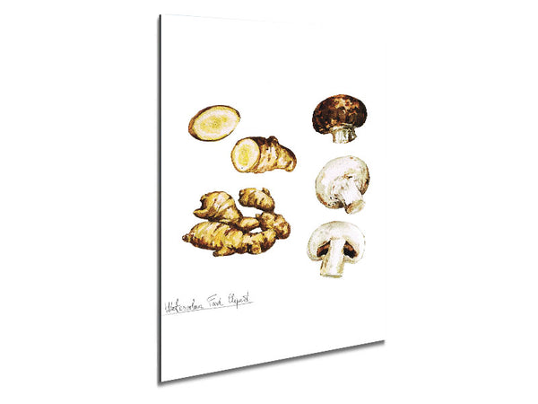 Mushrooms And Ginger Metal Print