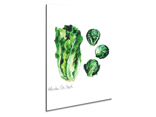 Cabbage Metal Print