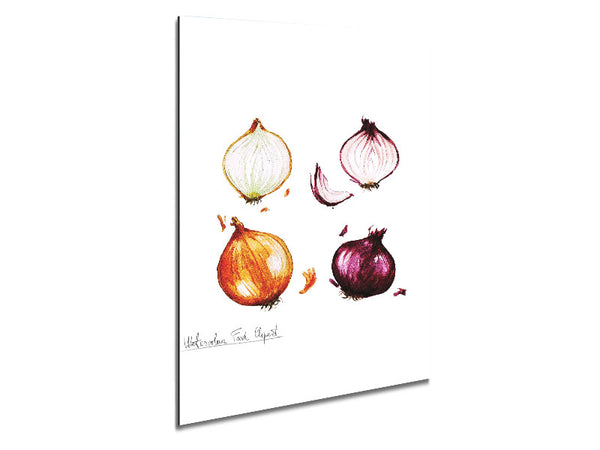 Onions Metal Print
