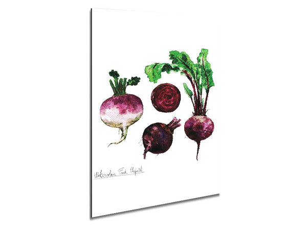 Beetroot Metal Print