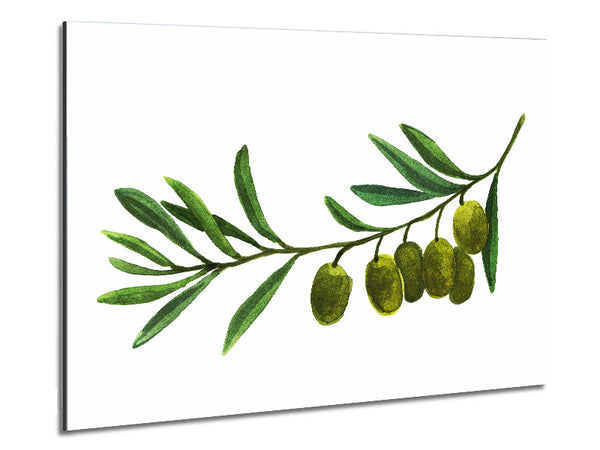 Olive Branch Metal Print