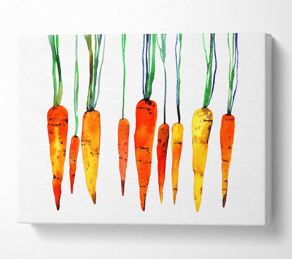  A Canvas Print of Dangling Carrots Canvas Art