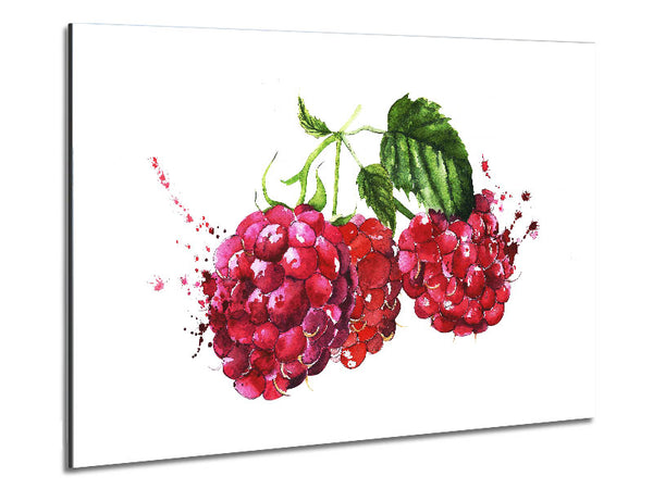 Raspberry Trio Metal Print