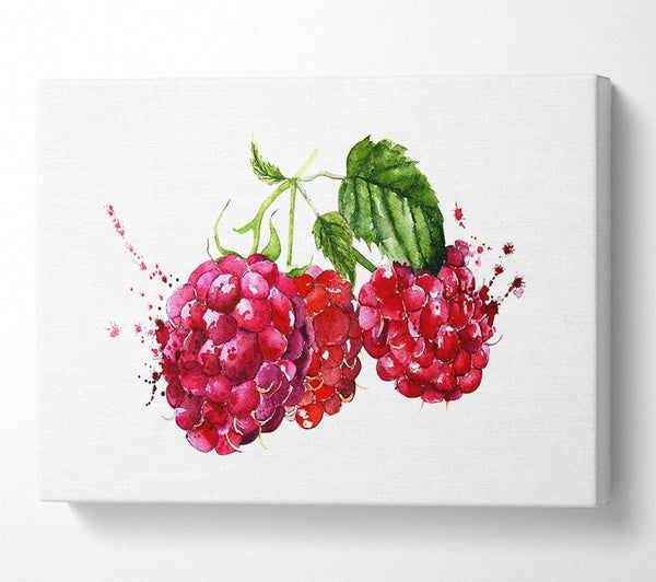  A Canvas Print of Raspberry Trio Canvas Wall Art