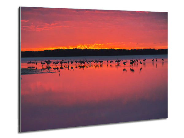 Pink Bird Paradise Metal Print