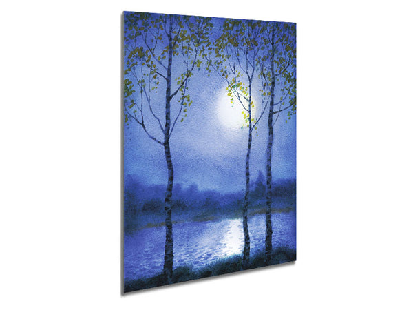 Winter moon Metal Print