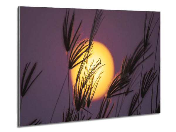 Yellow Sun In The Purple Sky Metal Print