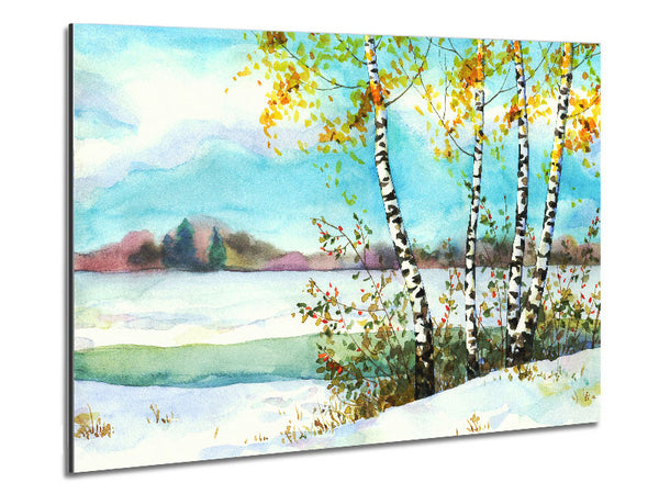 Silver Birch Winter Metal Print