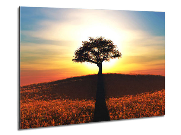 Sun Behind The Old Oak Tree Metal Print
