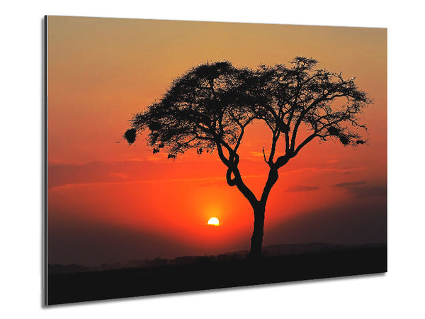 African Sunset Metal Print