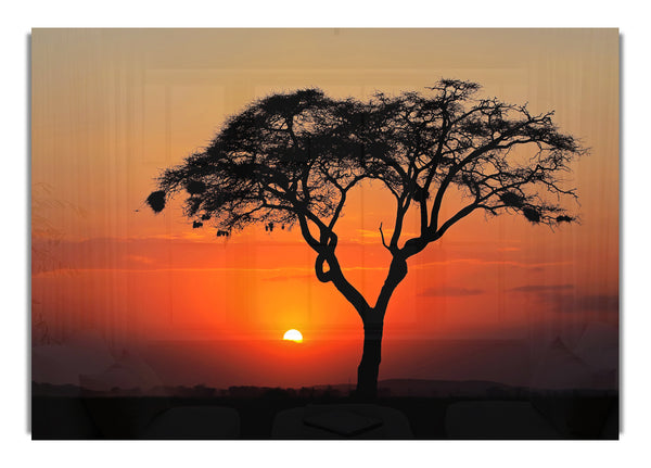 Afrikanischer Sonnenuntergang