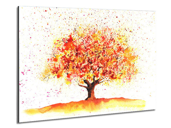 Stunning Autumn Tree Metal Print