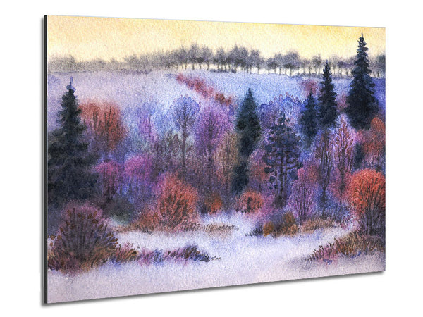 Winter Marvel Metal Print