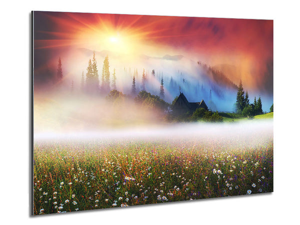 Sun Beams Through The Misty Flowers Metal Print