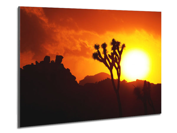 Sunset Desert Metal Print