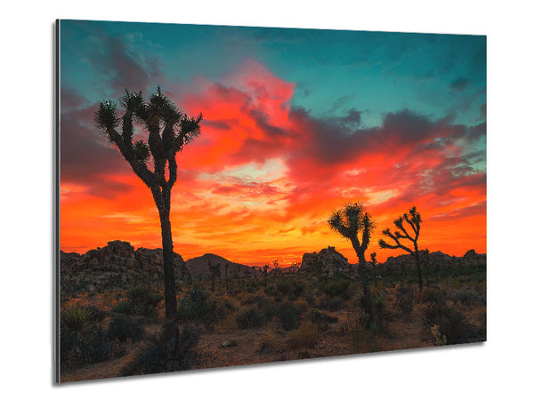 Sunset Desert Skies Metal Print