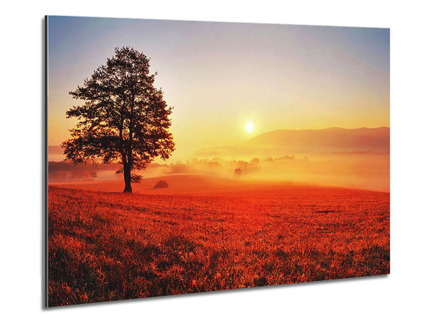 Autumn Sunset Fields Metal Print