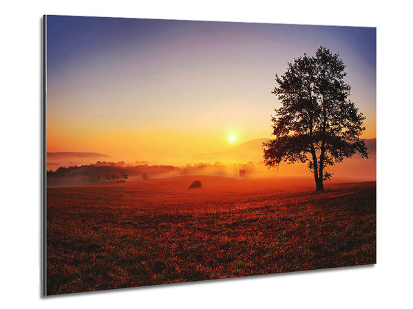 Autumn Fields Of Gold Metal Print