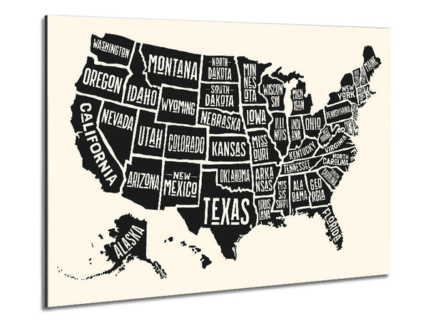 States Of America 5 Metal Print