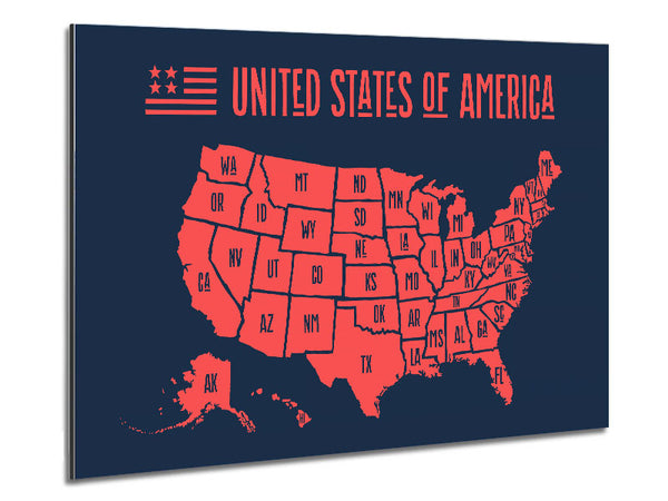 States Of America 1 Metal Print