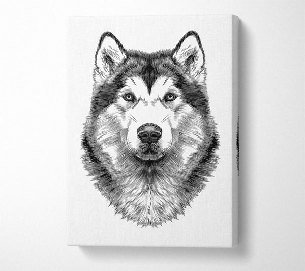  A Canvas Print of Husky Wolf Canvas Art