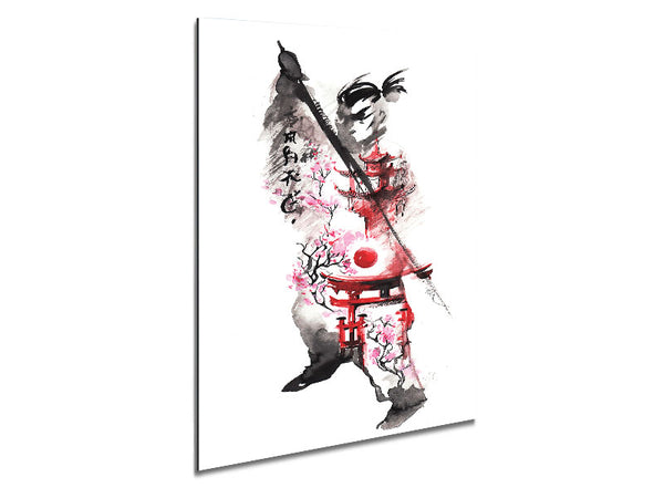 Chinese Warrior Metal Print