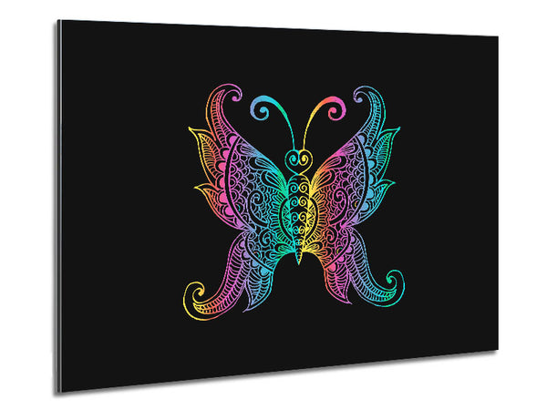 Indian Butterfly Metal Print