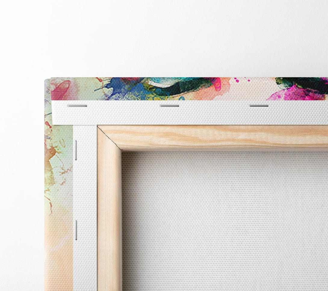  A Canvas Print of Rainbow Face Canvas Print