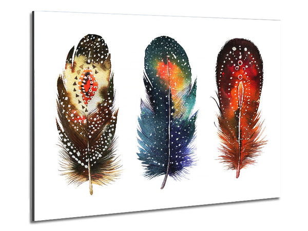 Indian Feathers Metal Print