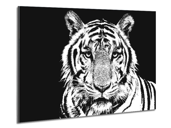 Stunning Tiger Face Metal Print