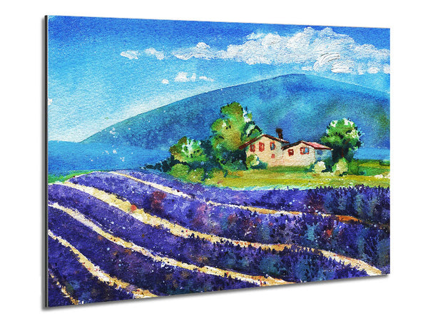 Lavender Fields In France Metal Print