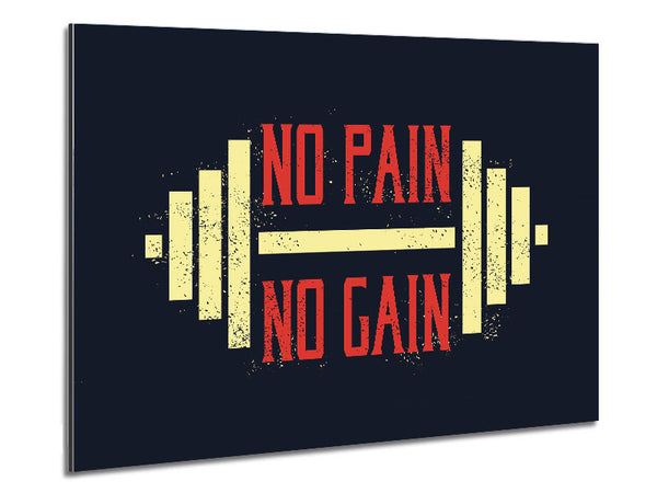 No Pain No Gain 2 Metal Print