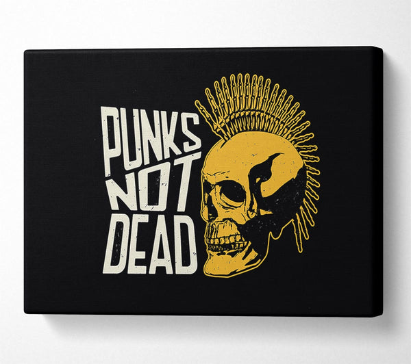  A Canvas Print of Punks Not Dead 1 Canvas Wall Art