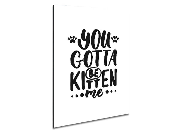You Gotta Be Kitten Me Metal Print