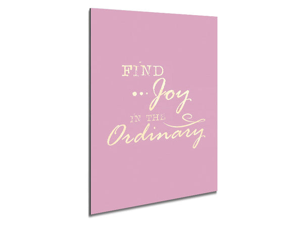 Find Joy In The Ordinary Metal Print