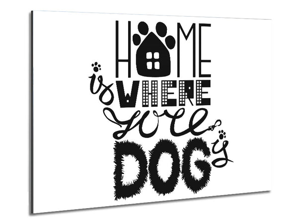 Home Is Where The Dog Is 2 Metal Print