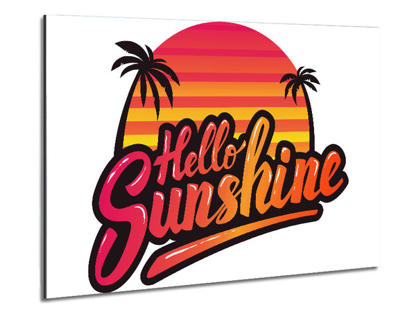 Hello Sunshine 2 Metal Print