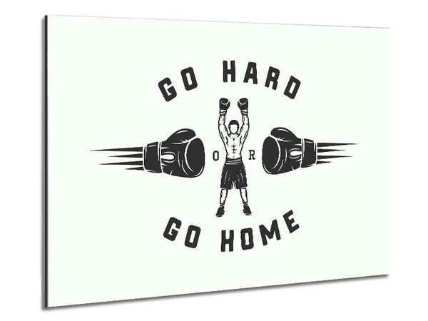 Go Hard Go Home 1 Metal Print