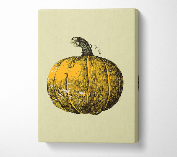  A Canvas Print of Pumkin Canvas Print