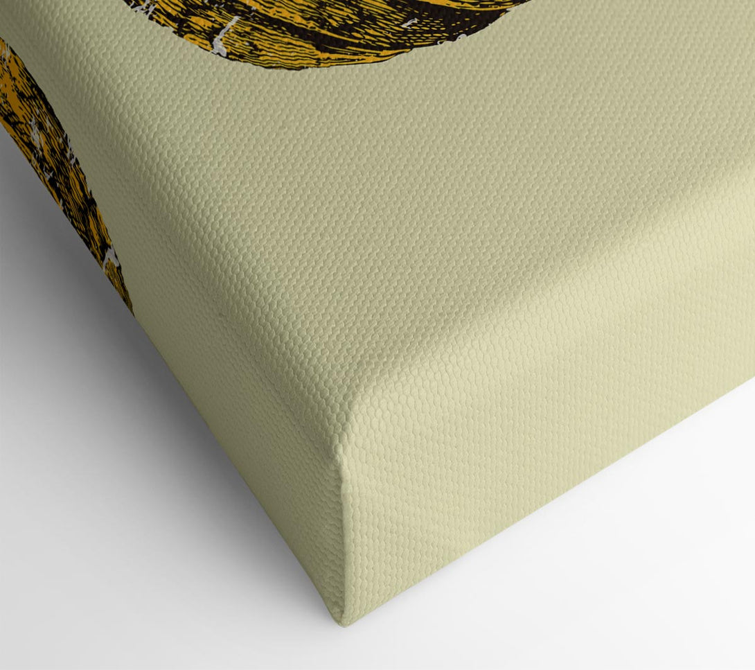  A Canvas Print of Pumkin Canvas Print
