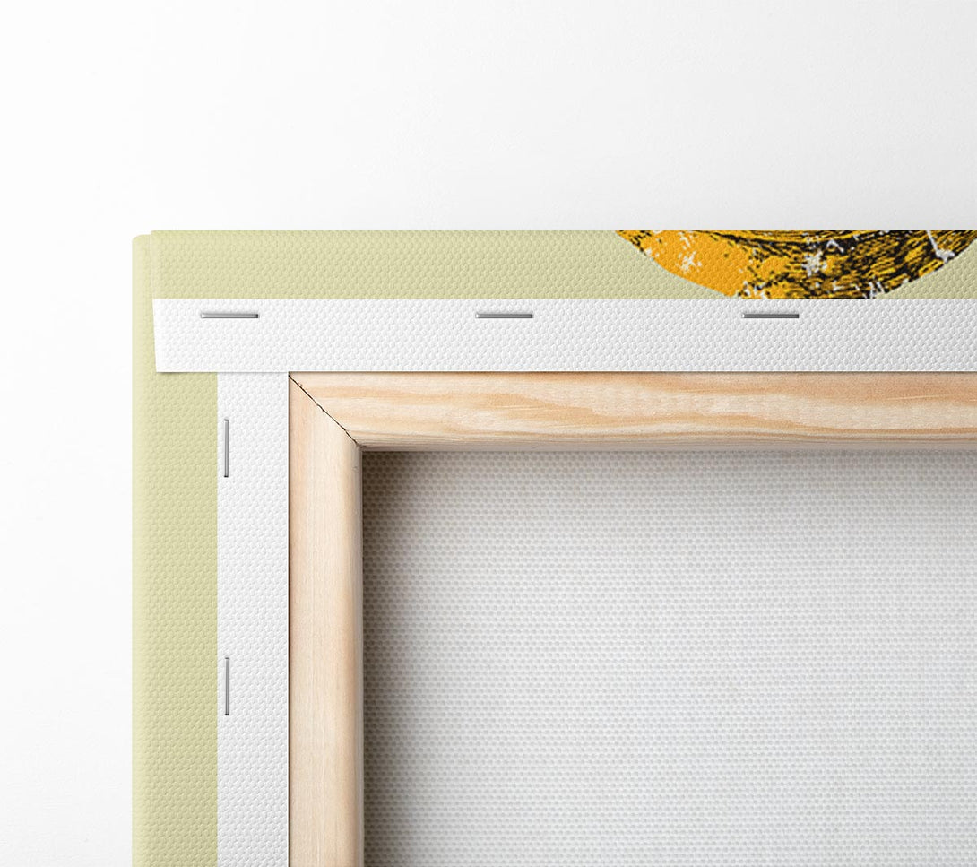  A Canvas Print of Pumkin Canvas Print