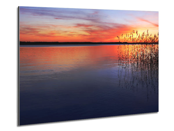 Serene Sunset Metal Print