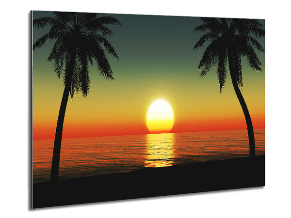 Palm Tree Bliss Metal Print