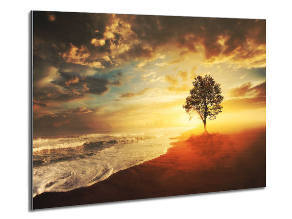 Reflections Of A Beach Tree Metal Print
