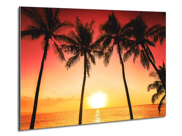 Sunset Between The Palm Trees Metal Print