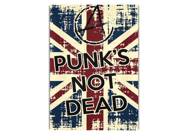 Punks Not Dead