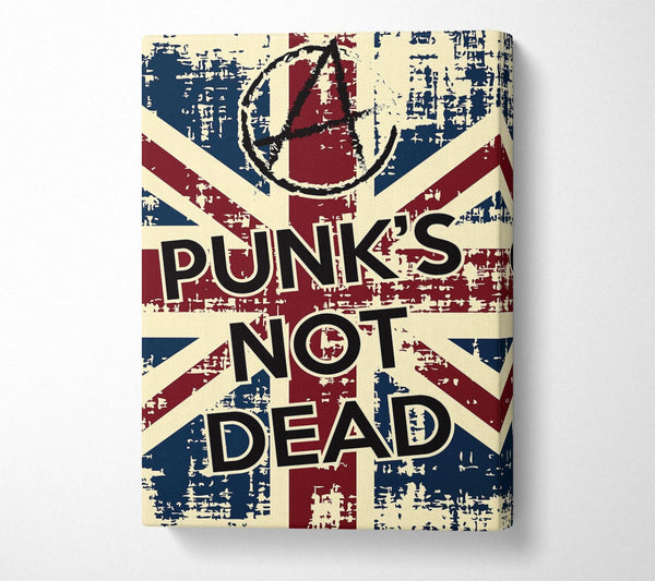  A Canvas Print of Punks Not Dead Canvas Print