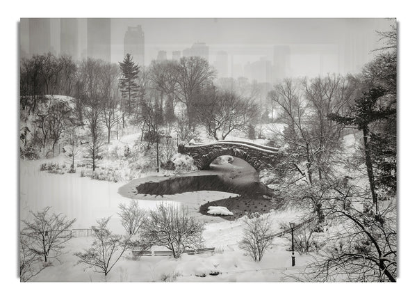 Snowing In Central Park