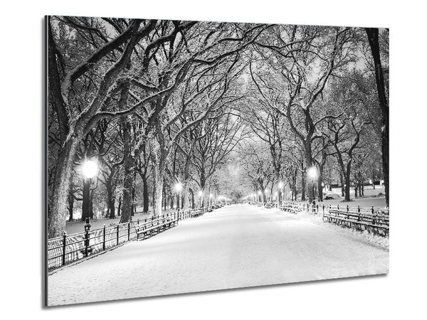 Winter Stroll Through Central Park Metal Print